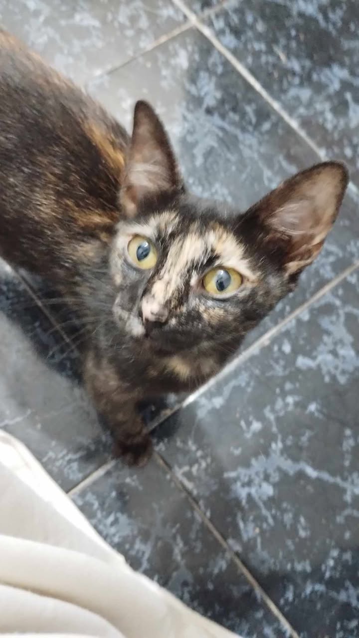 622279144_1568508631047849_6439435450280960915_n