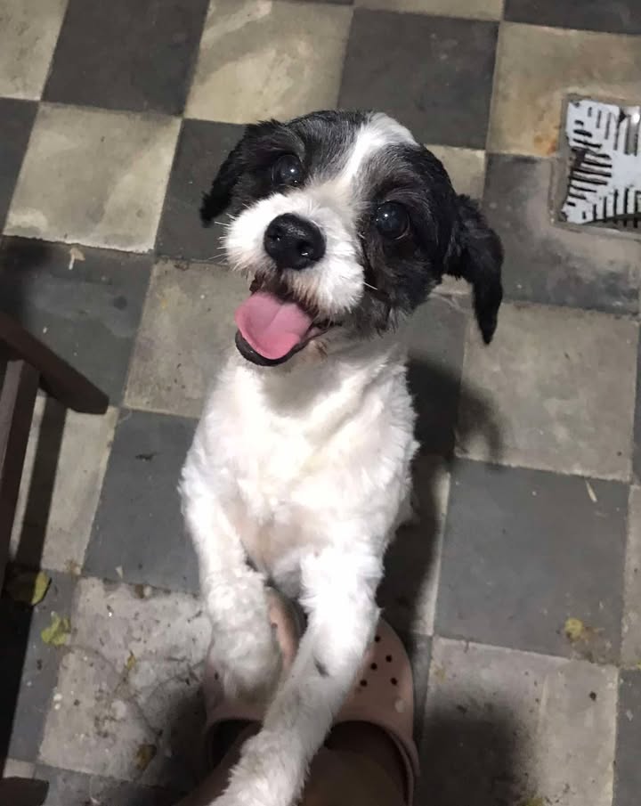 623366418_1594247695121485_9134001474487479388_n