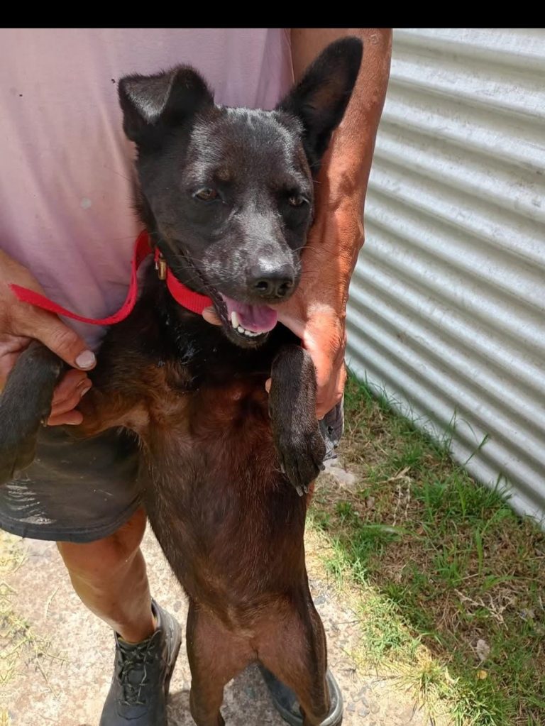 6632f909-0f39-4851-8664-66672d132c80