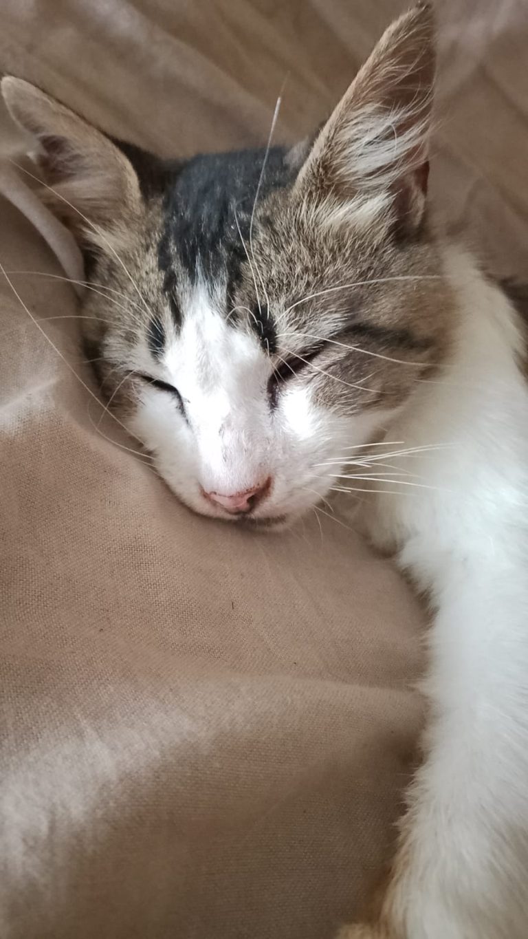 6d026441-5160-407b-aaed-c533caf9b3f8