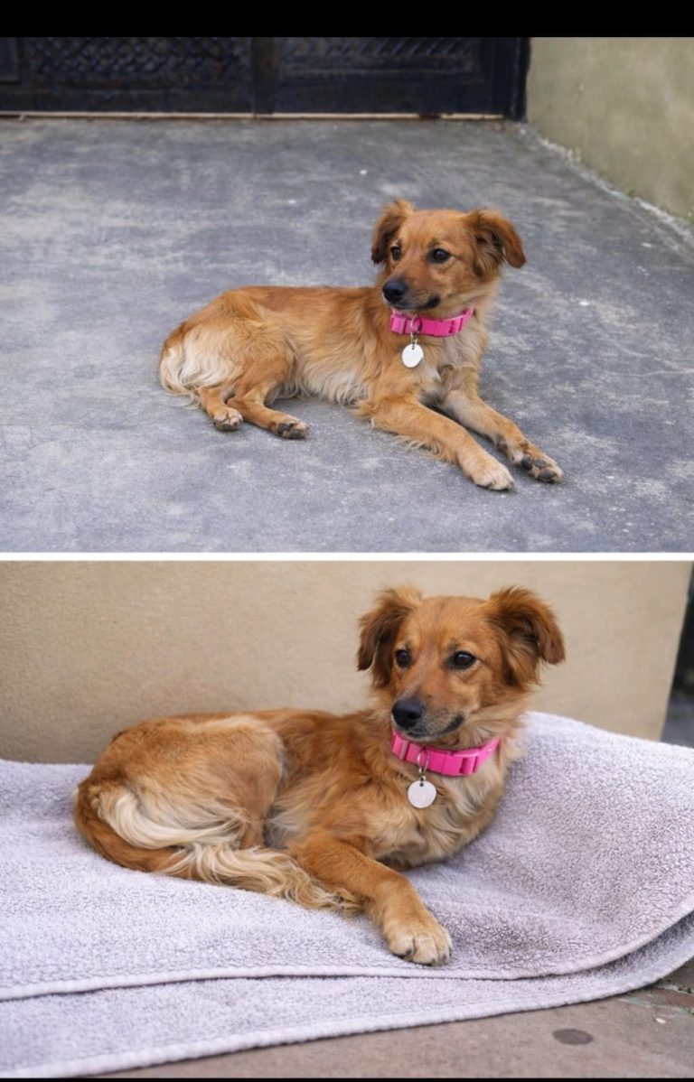 7550e34d-e2f9-4600-9b4b-e86a6c0dfcec