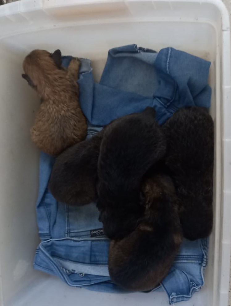 9e794e00-d87c-4c4f-a2a9-0d973a48bdf3