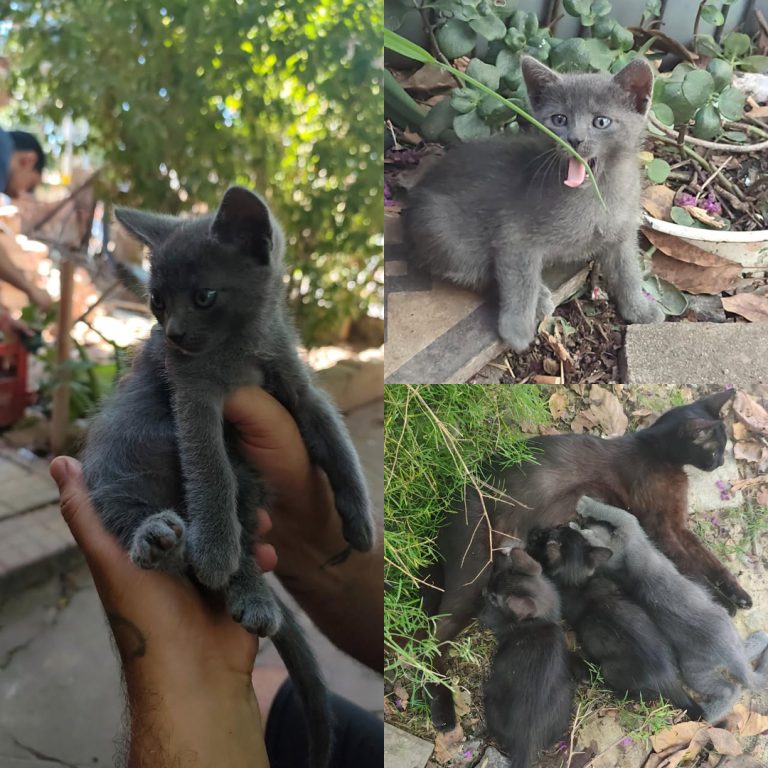 Untitled project (1)