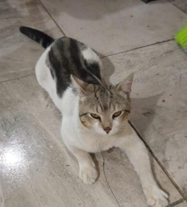 WhatsApp Image 2026-01-05 at 10.14