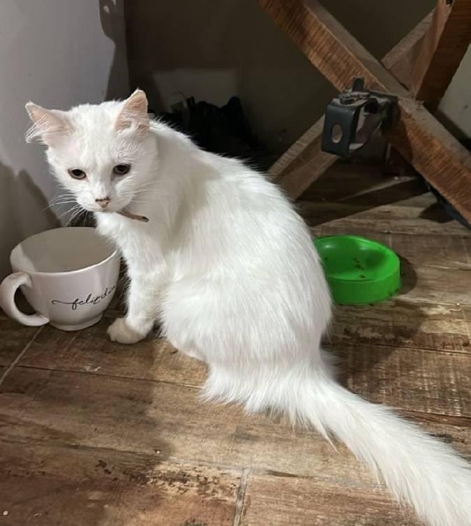 WhatsApp Image 2026-01-05 at 11.31