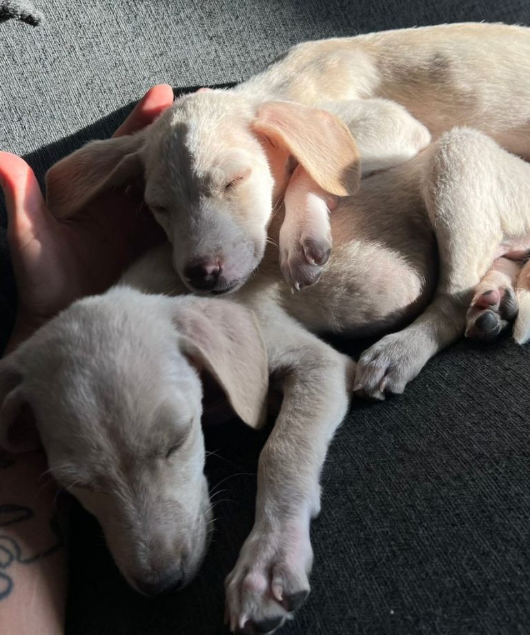 WhatsApp Image 2026-01-06 at 9.25