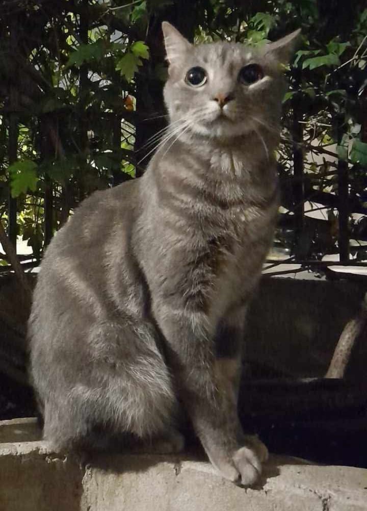 WhatsApp Image 2026-01-10 at 17.50