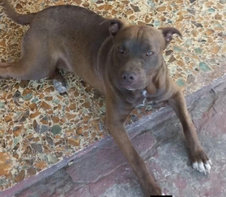 WhatsApp Image 2026-01-10 at 18.06