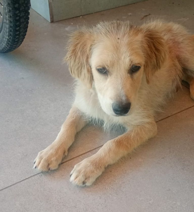 WhatsApp Image 2026-01-12 at 13.05