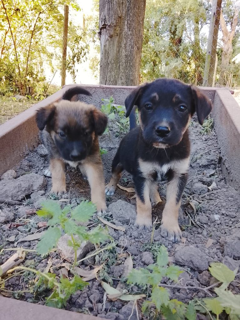 WhatsApp Image 2026-01-12 at 18.48