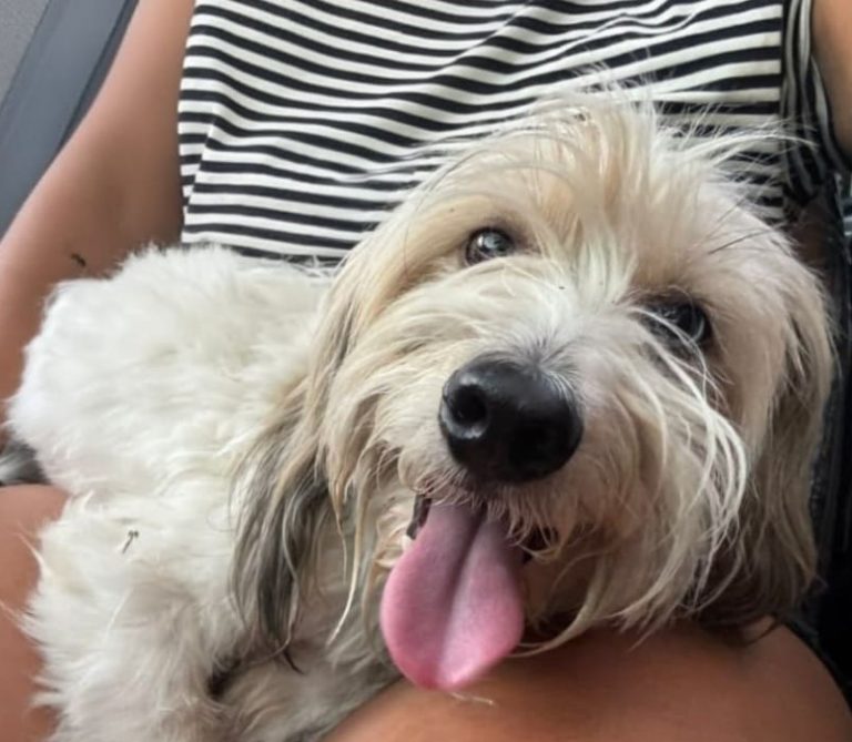 WhatsApp Image 2026-01-12 at 21.17