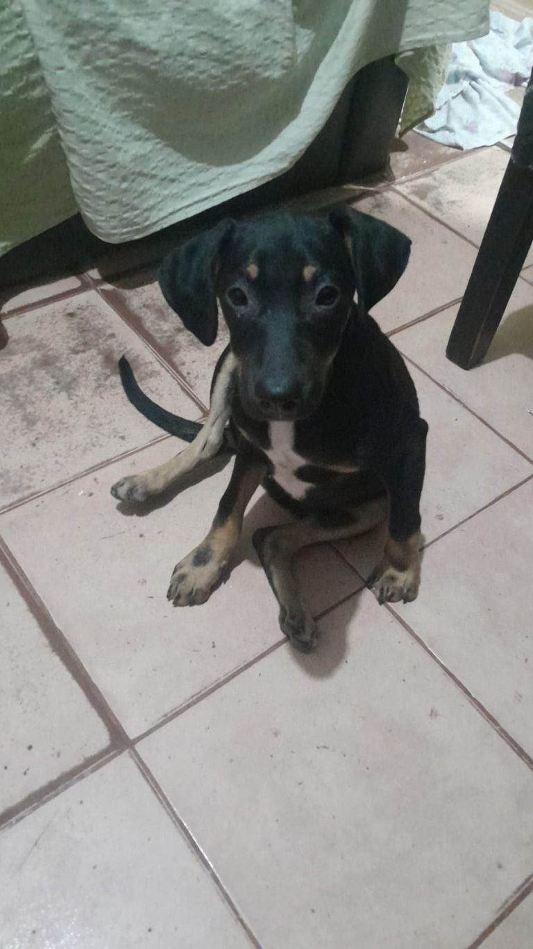 WhatsApp Image 2026-01-18 at 23.20