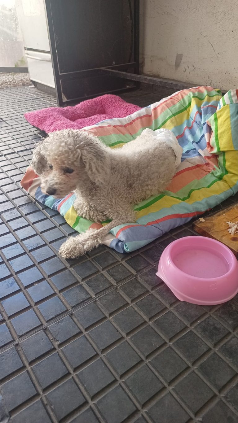 WhatsApp Image 2026-01-19 at 11.09