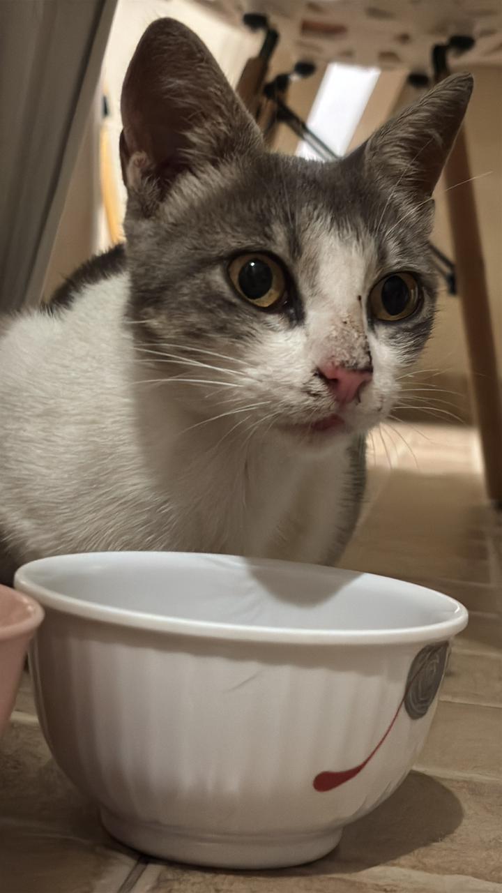 a9ccb11d-185e-4617-ad8d-217e89a699a1