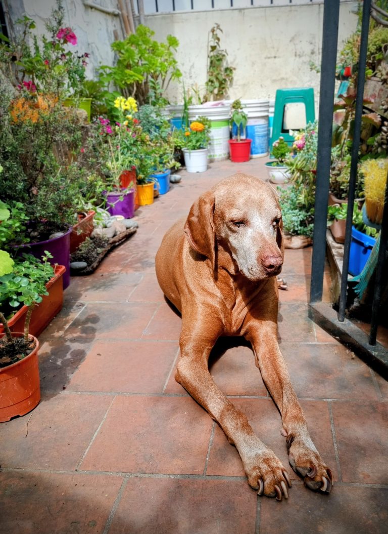 b399cfa7-9ab9-461f-98c1-24453705e40a-1_all_7651