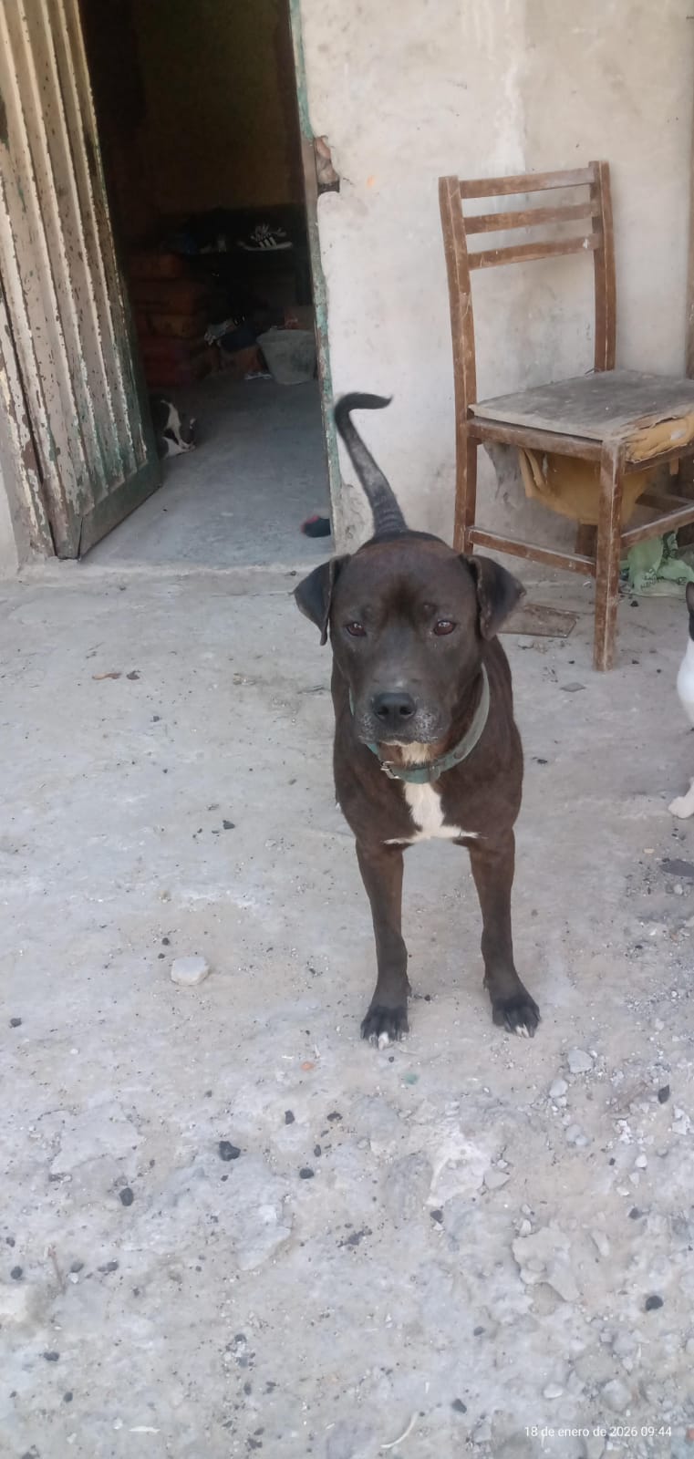 cbccb785-febf-48ec-ac7e-7ca6d79200d6