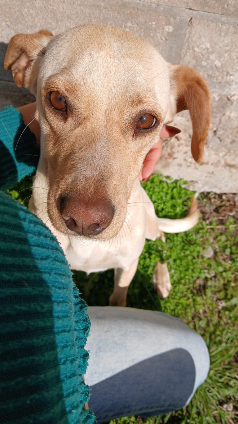 e1c2f06d-8e42-4c1c-a9a9-a7a3f9b2c8d9