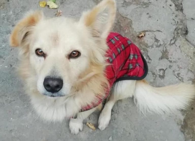 33a14ece-7b75-4c00-b3e8-876edb7bae3b