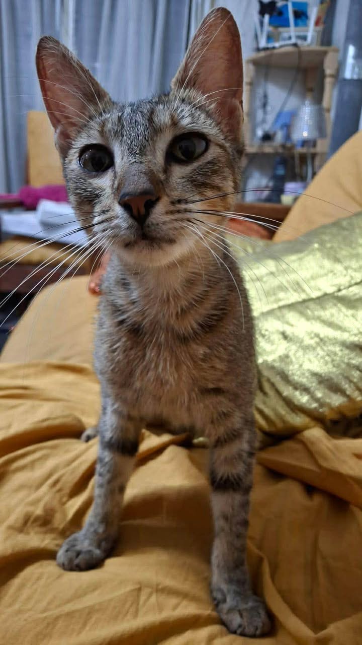 612269932_2674691096222776_489054392042737551_n