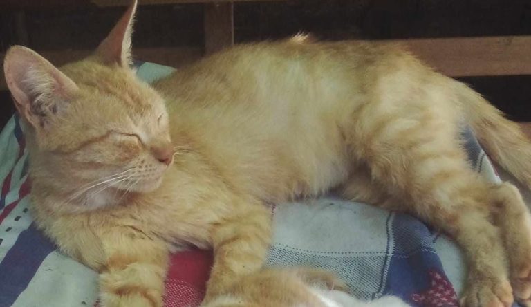 624627269_1228306835534953_8502400807197053174_n