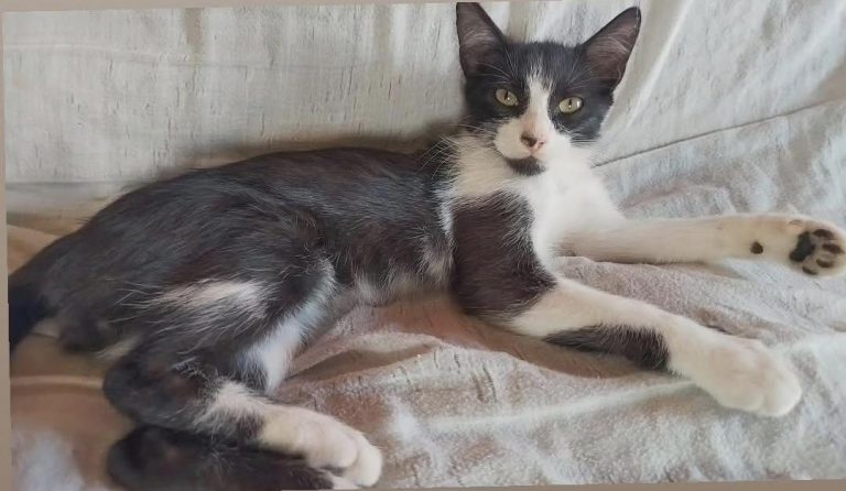 625152226_1274986454690810_8791285436321259680_n