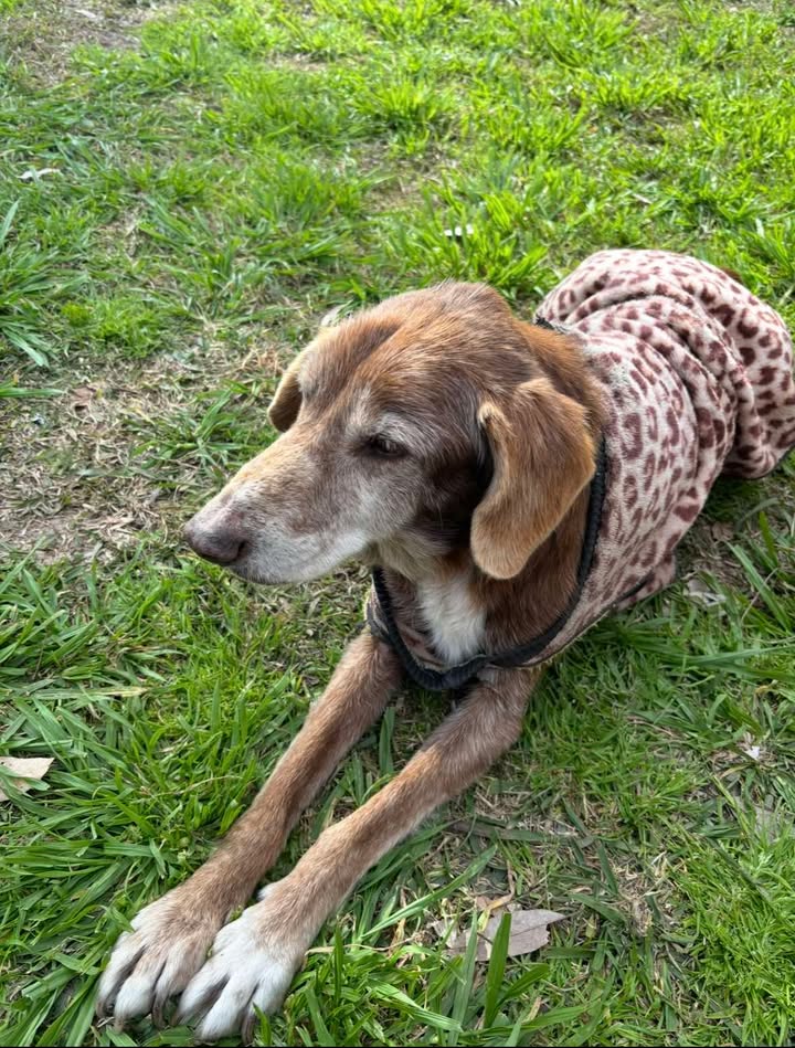 626136812_913960934908608_2083012850289280020_n