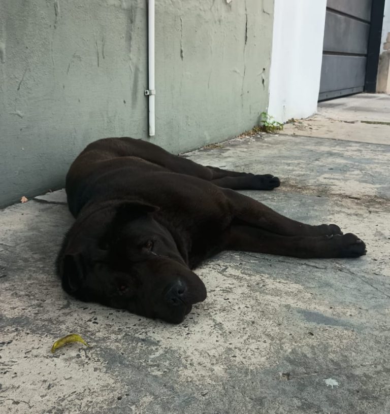 627578039_914725407580089_1729806305900229487_n