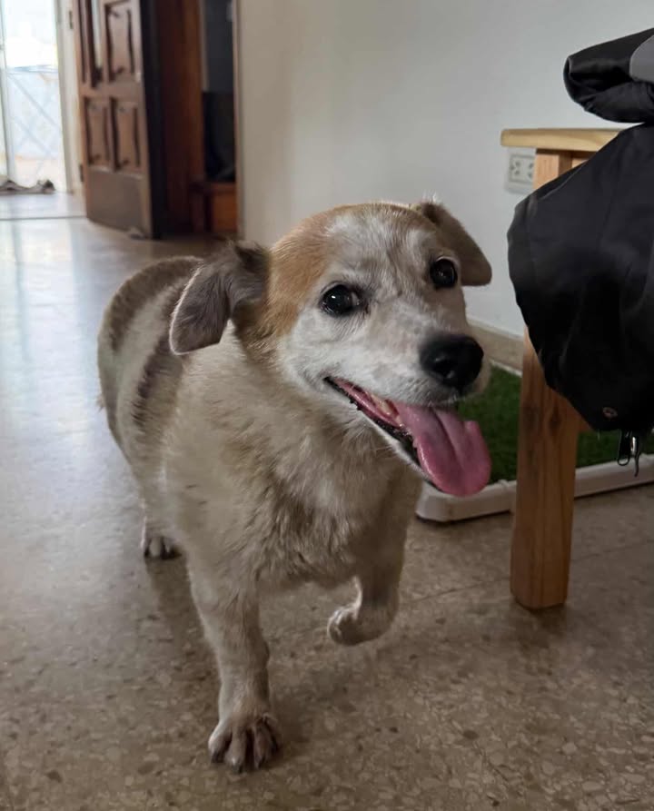 629320551_3399825663514078_4240382792409383705_n