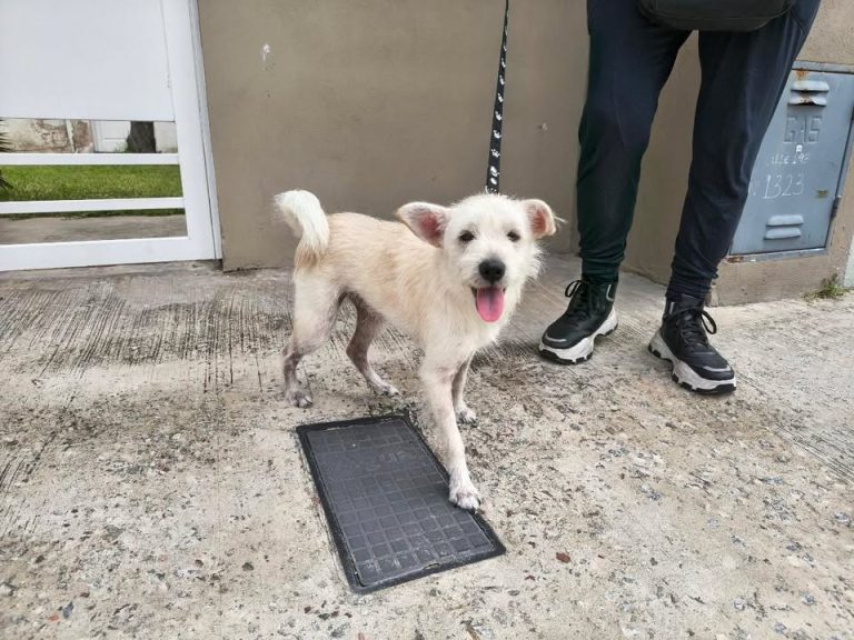 629745435_2135086500666581_7913300101509124672_n