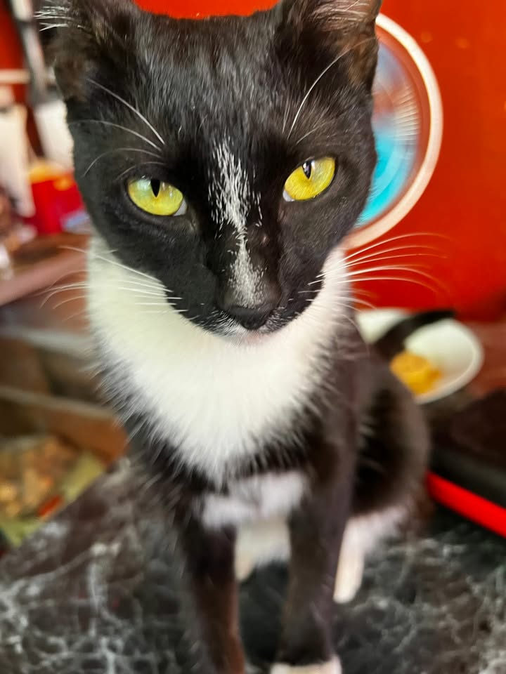 632053506_4003137939820809_4013531864262921772_n