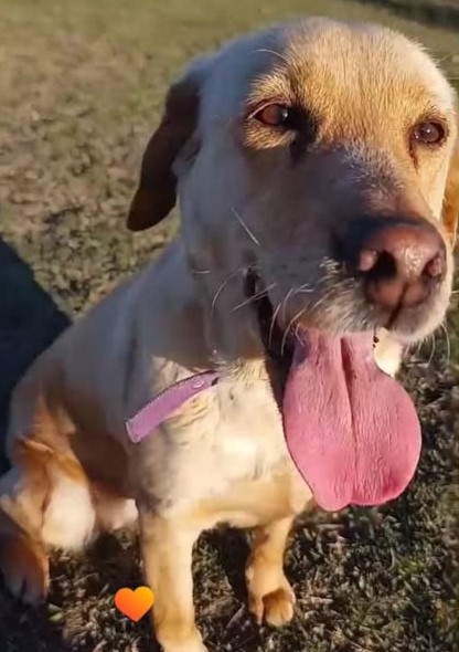 632151075_2623262968037388_463478721172492865_n