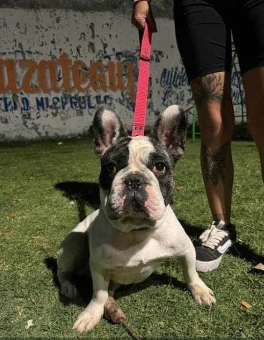 633797673_1541838543542161_3249052572772295382_n