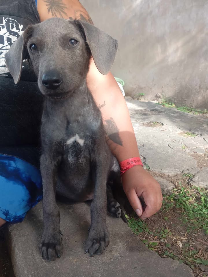 633977516_1816520029012778_2400056578676438308_n