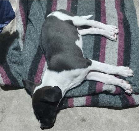 637441643_4315268595424053_3780496490641206845_n