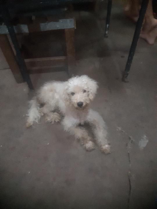 638430557_762989053535958_2145482574274204542_n