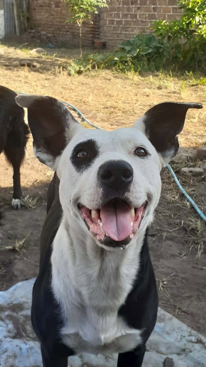 638620875_3433850050122970_2794306381874067425_n