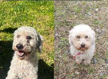 639192418_2334542456972958_2445834071003226211_n1