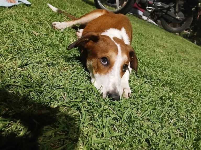 639828012_1639057543777089_2014059532551039394_n