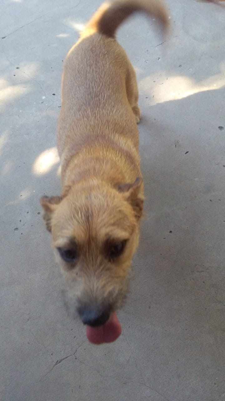 639877227_1601141094437581_4928727510280813670_n