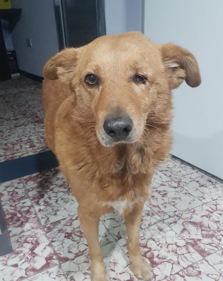 639908787_766170309506888_7130902326744878320_n