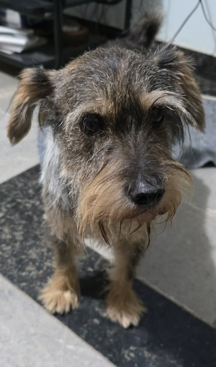 641676677_2415055998946095_1362059049403848953_n