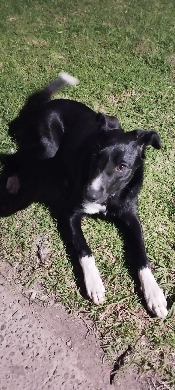 77174922-a4ca-4f8c-b9ba-1f7cadfb448e