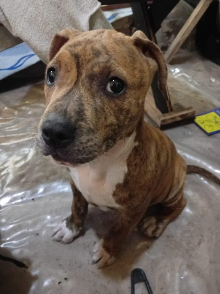 WhatsApp Image 2026-01-31 at 19.03