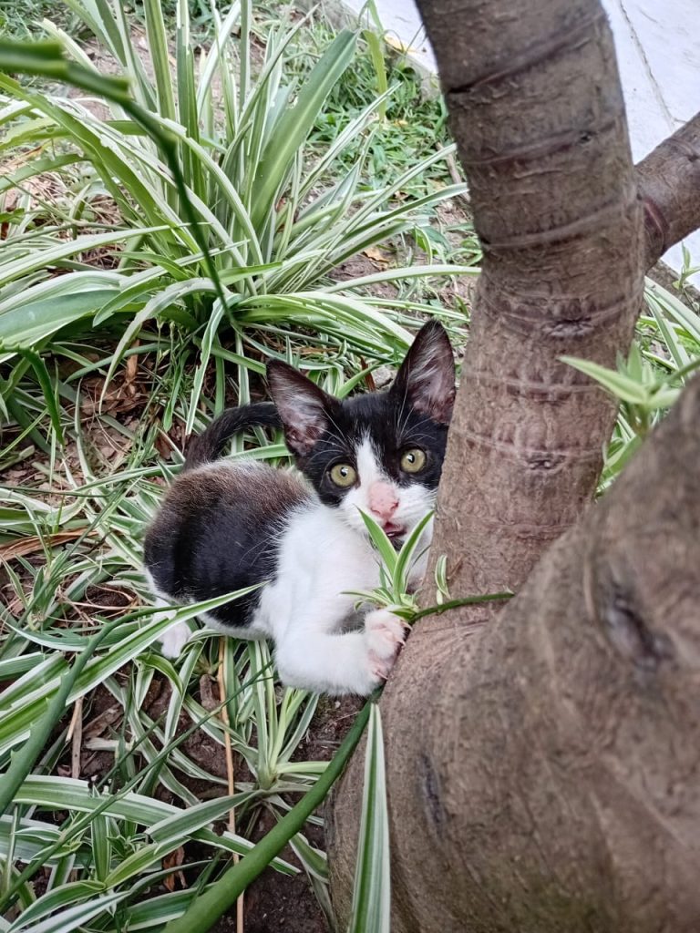 WhatsApp Image 2026-02-02 at 10.49