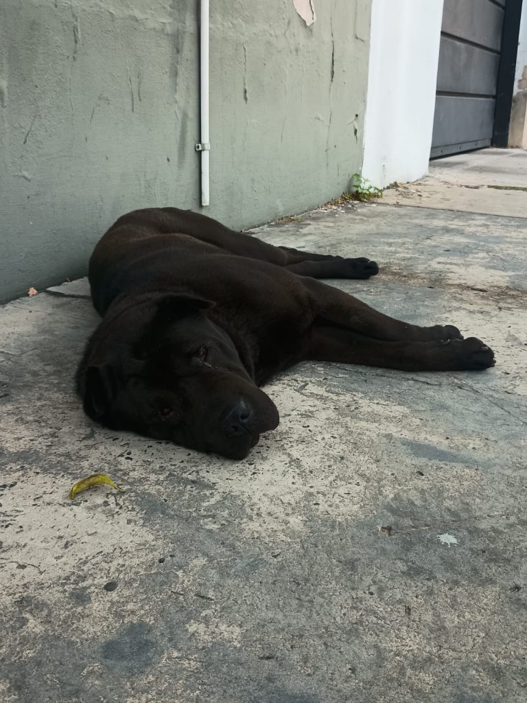 WhatsApp Image 2026-02-03 at 10.03