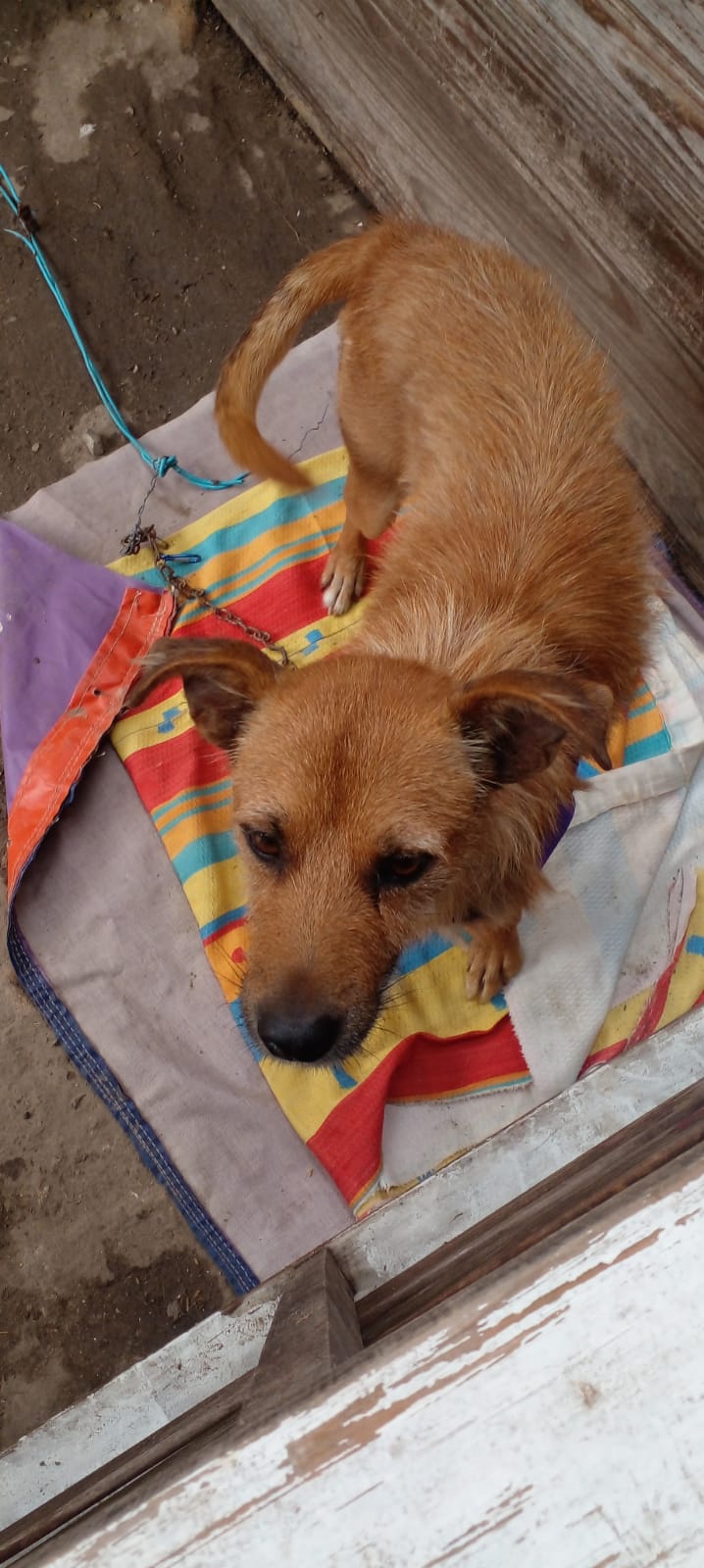 WhatsApp Image 2026-02-04 at 13.02