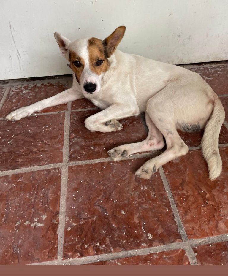 WhatsApp Image 2026-02-05 at 19.18