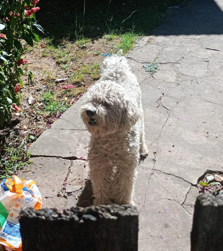 WhatsApp Image 2026-02-06 at 15.13