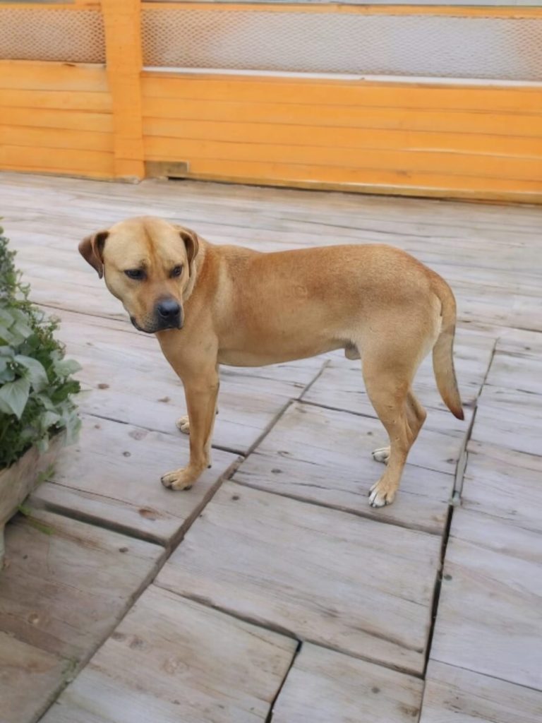 WhatsApp Image 2026-02-09 at 12.23