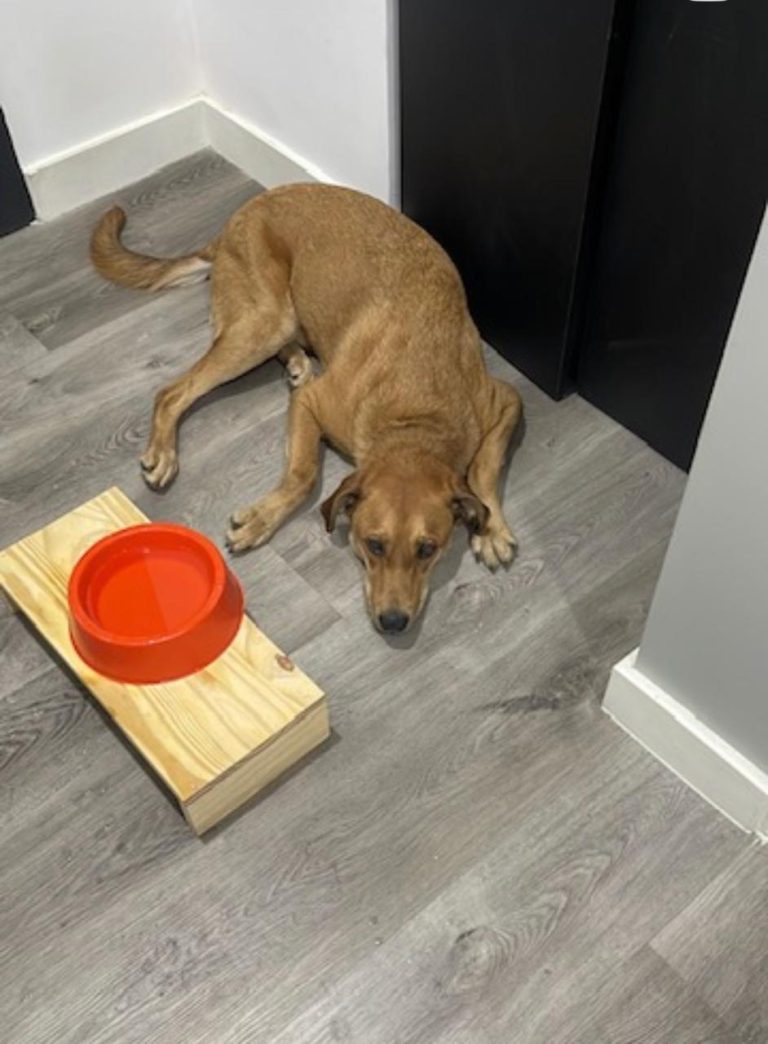 WhatsApp Image 2026-02-11 at 10.51